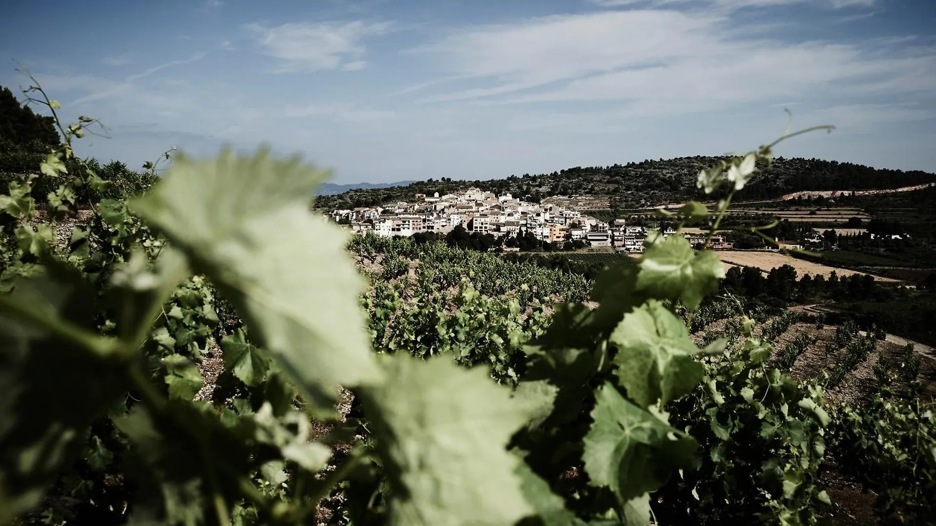 Atico Con Terraza En Capcanes Capsanes